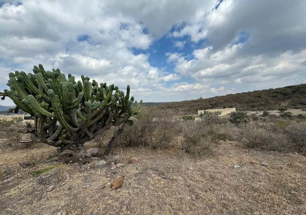 Terreno en La Biznaga 3