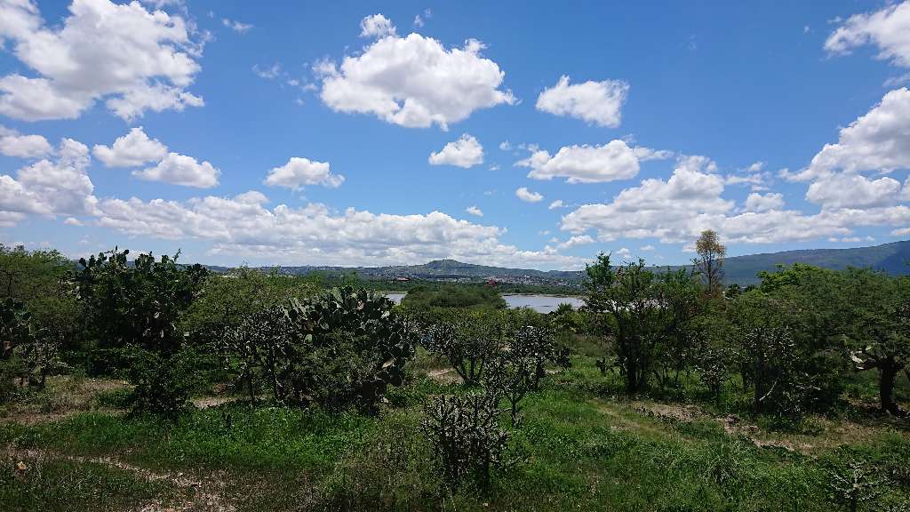 Lote Ponce Lote Ponce
