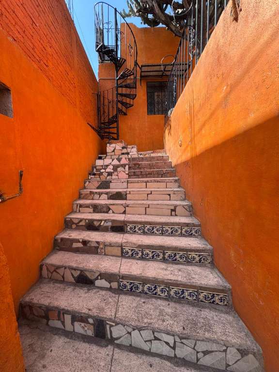9121_13_fixer_upper_olimpo