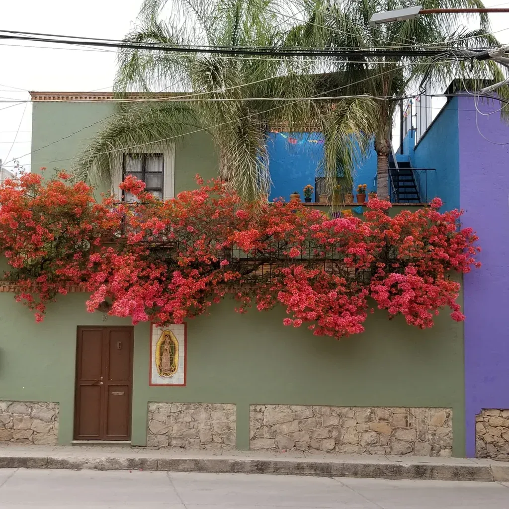 Casa San Rafael